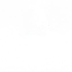 Crystal Absolute White